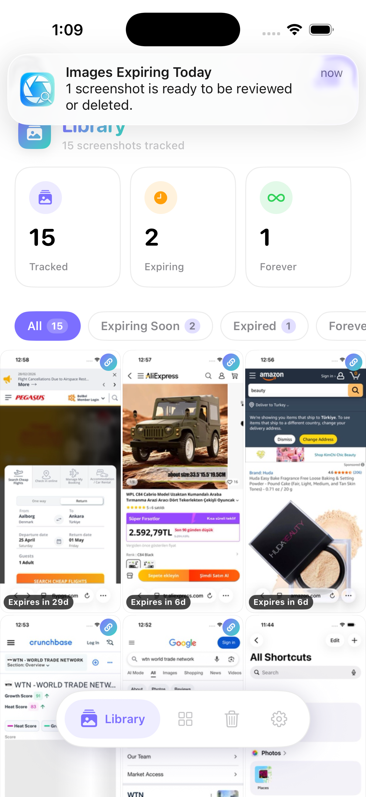 Screenshot 12